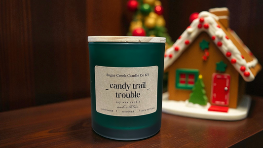 Candy trail trouble - soy wax candle, ginger, citrus, molasses, sugar, cinnamon, vanilla, nutmeg, chestnut, and butter
