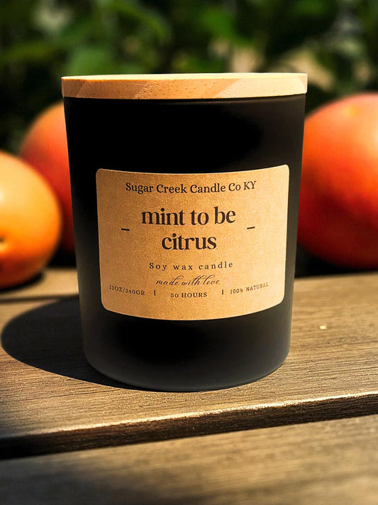 Mint to be Citrus- soy wax candle, grapefruit, mint, rhubarb, rose, apple, and vanilla