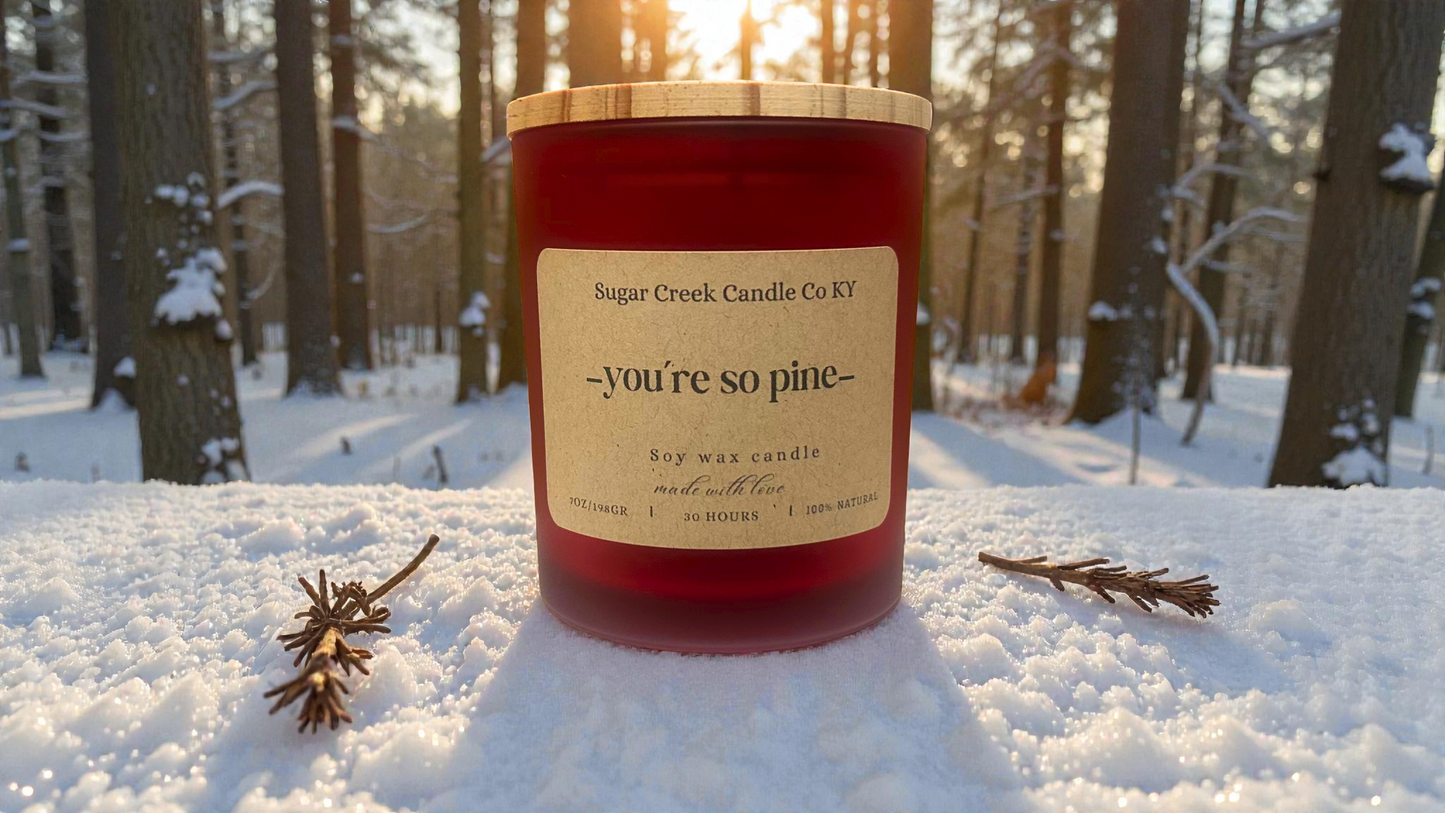 You're so Pine- soy wax candle, eucalyptus, citrus, pine, camphor, balsam, cedar, and patchouli